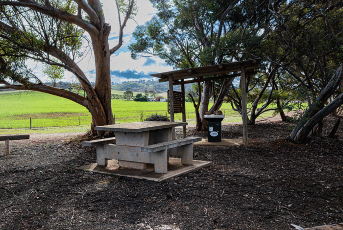 PointPassPark_25_HayleyWalmsley_02