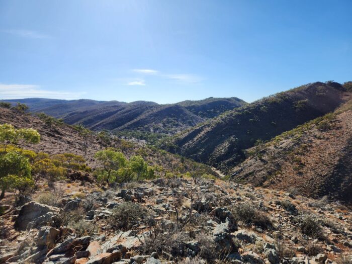 IMG_20230526_121449_984